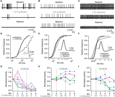 Characterization of Developmental Changes in Spontaneous Electrical Activity of Medial Superior Olivary Neurons Before Hearing Onset With a Combination of Injectable and Volatile Anesthesia